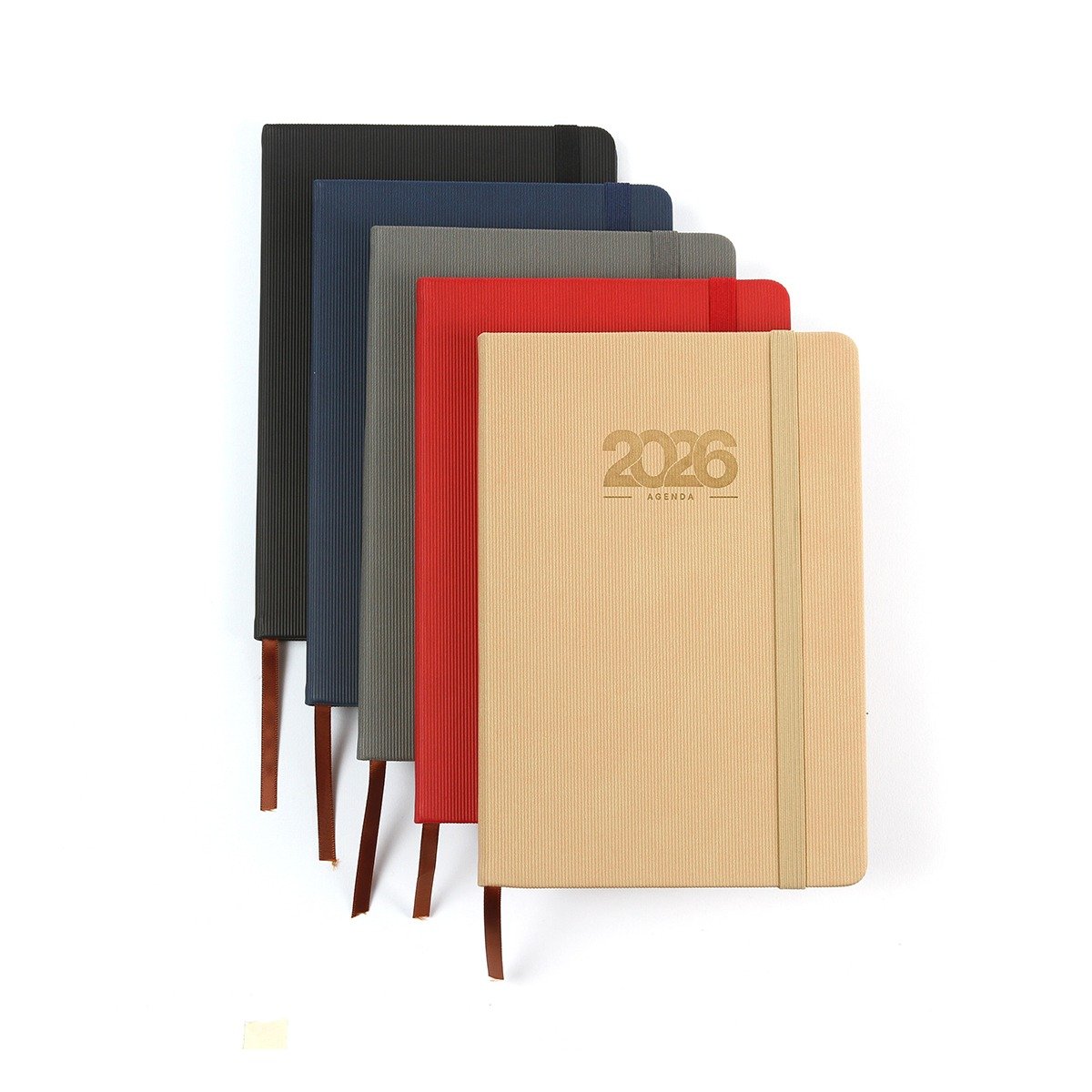 WhatsApp Image 2025-09-23 at 15.48.00 (3)